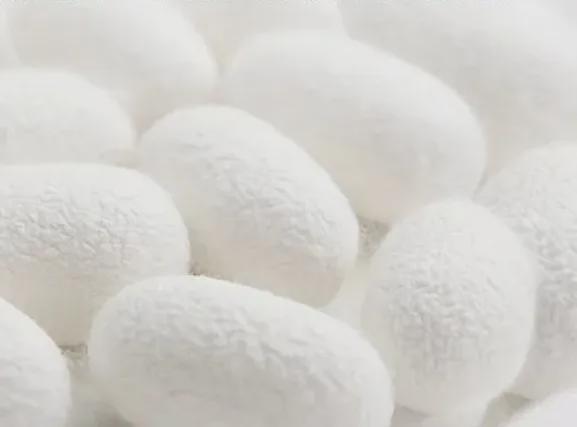 护膝保暖锁温；关节膏抹开温温热热搭配按摩更好球王会体育网站天一凉关节就开始难受了？蚕丝(图16)